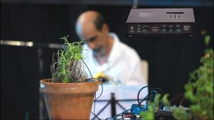 Musique des plantes: Découverte